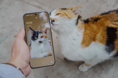 BetCart Casino Mobiilirakendus